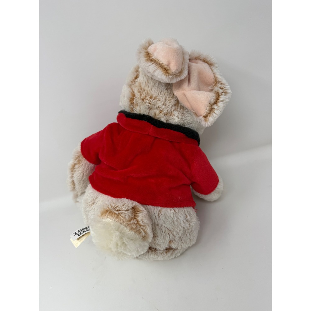 Dan Dee Peter Rabbit 15" Flopsy Bunny Plush Red Jacket Stuffed Animal - Picture 5 of 11